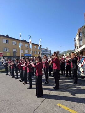 Pivka budnica